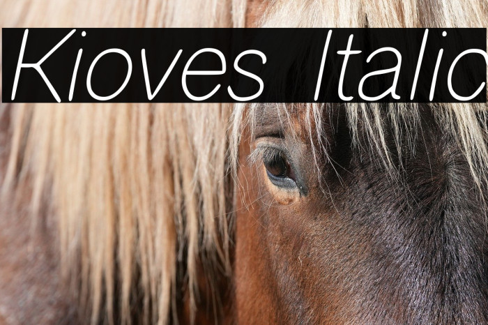 Kioves Italic Example 2