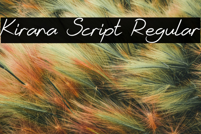 Kirana Script Regular Example 1