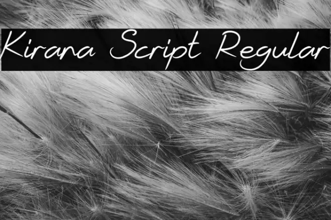 Kirana Script Regular Font examples