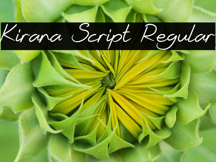 Kirana Script Regular Example 3