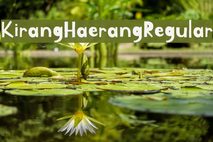 Kirang Haerang Regular Font examples