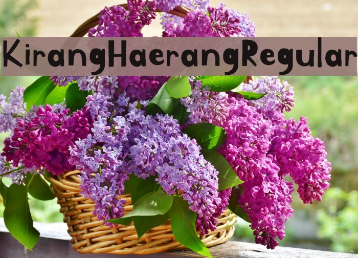 Kirang Haerang Regular Font examples