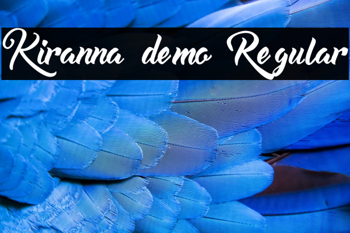 Kiranna demo Regular Example 2