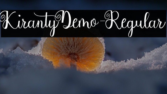 KirantyDemo-Regular Example 2