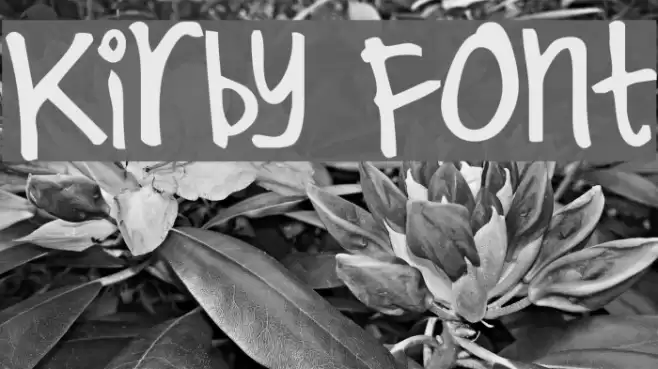 Kirby フォント examples