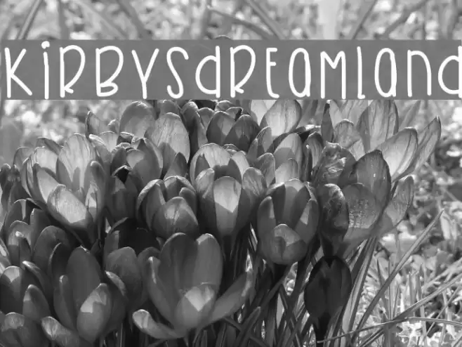 KirbysDreamland Font examples