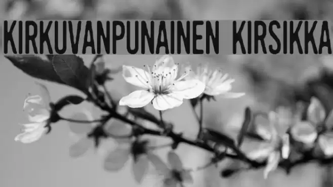 Kirkuvanpunainen kirsikka Font examples