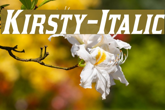 Kirsty-Italic フォント examples