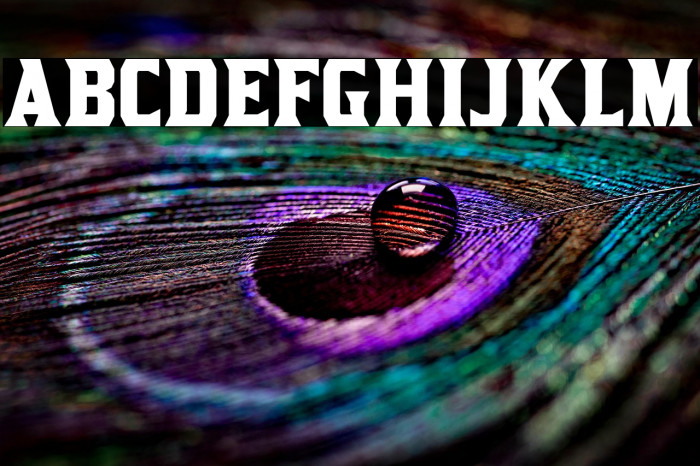 KirstyRg-Bold Example 2