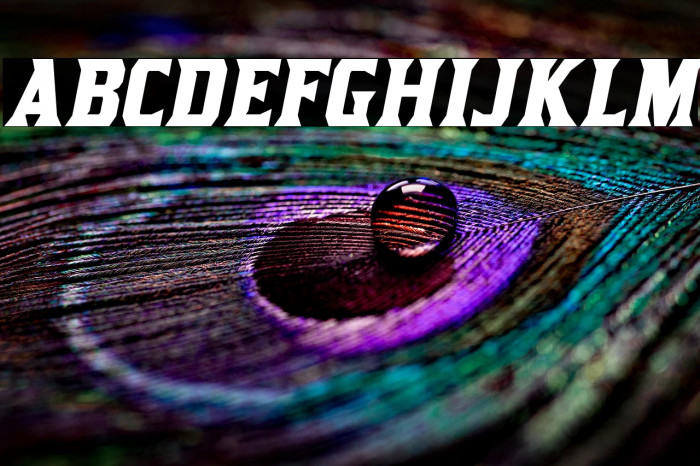 KirstyRg-BoldItalic Example 2