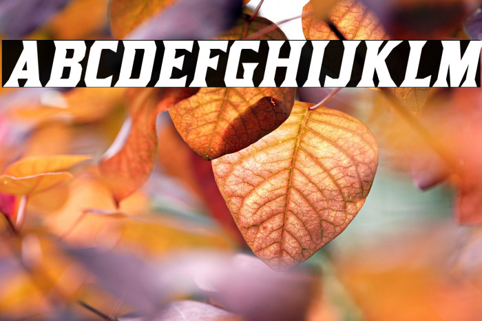 KirstyRg-BoldItalic Example 3