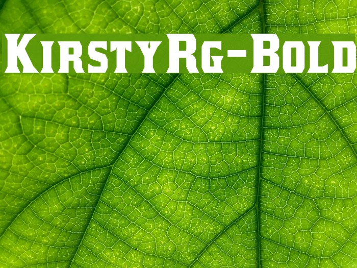 KirstyRg-Bold Example 3