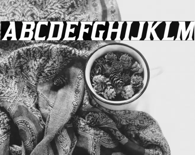 KirstyRg-Italic Font examples