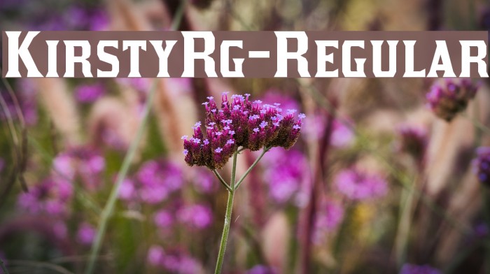 KirstyRg-Regular Example 2