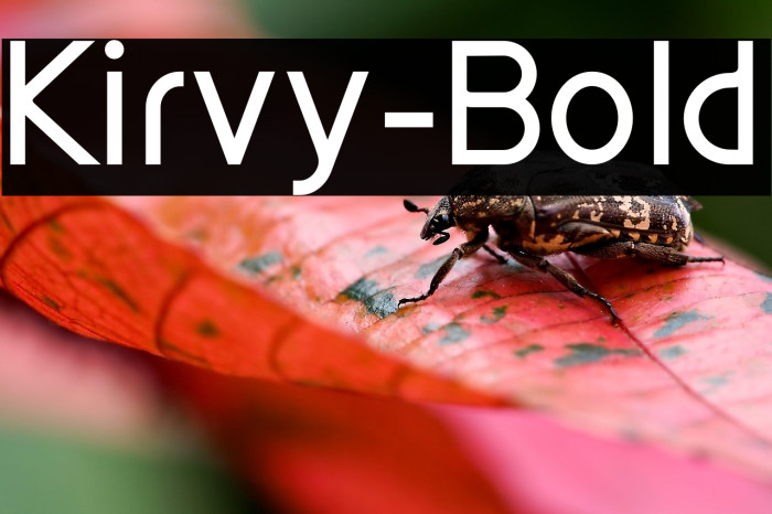 Kirvy-Bold Example 1