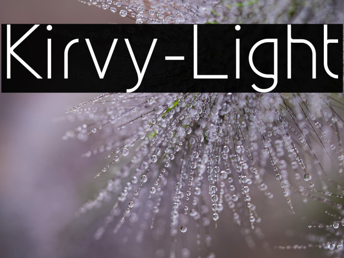 Kirvy-Light Example 2