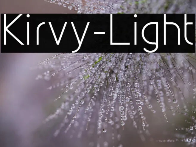 Kirvy-Light Example 2