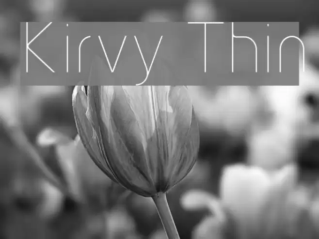 Kirvy Thin Font examples