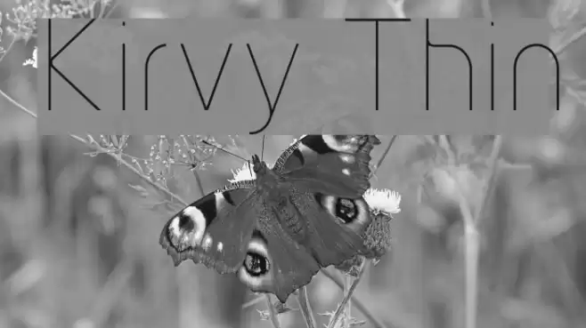 Kirvy Thin Font examples