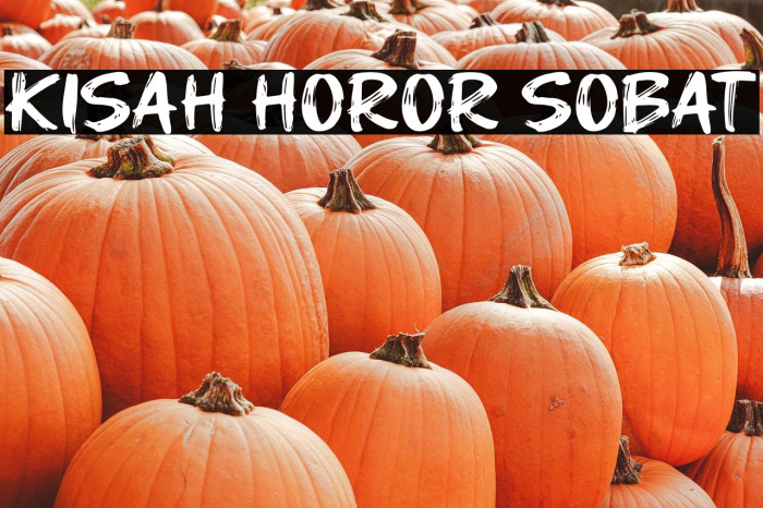 Kisah Horor Sobat Example 2