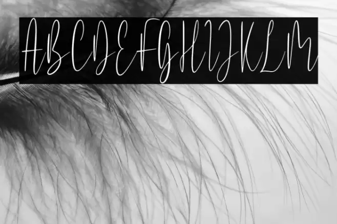 Kishplay Fuentes examples