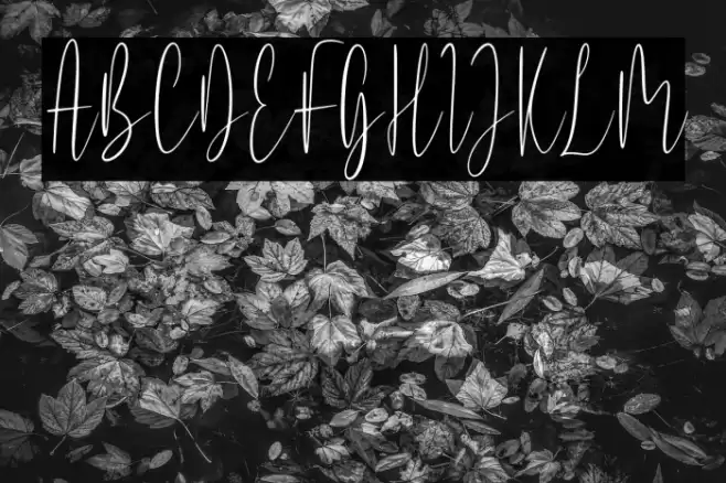 Kishplay Fuentes examples