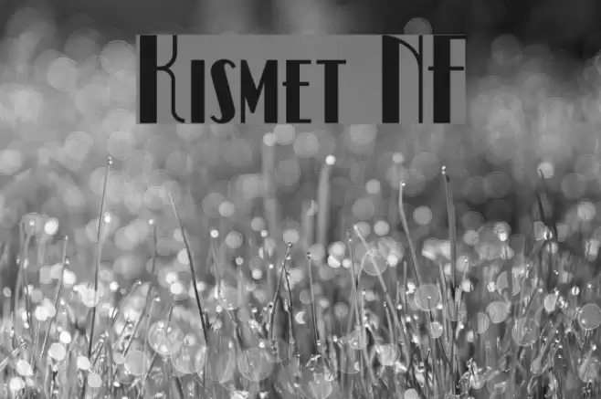 Kismet NF Font examples