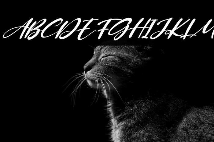 Kiss Boom Italic Example 3