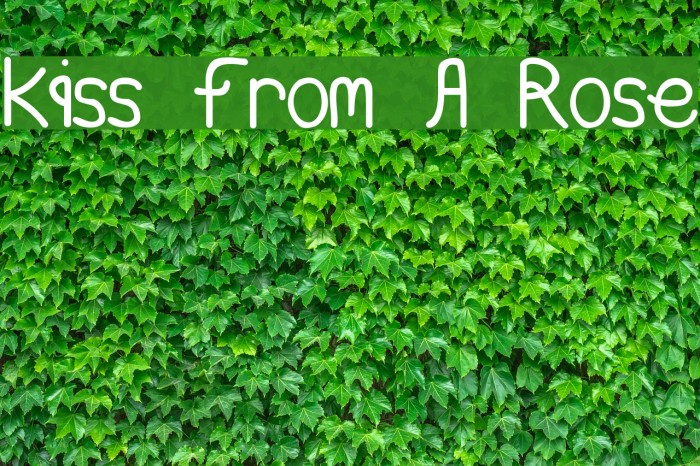 Kiss From A Rose Font examples