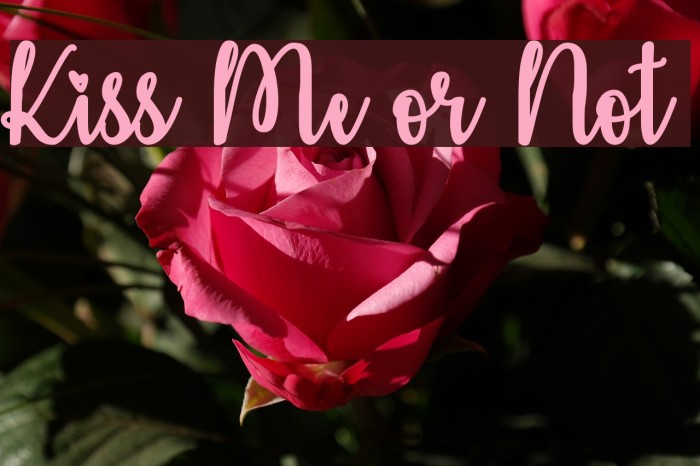 Kiss Me or Not Font examples