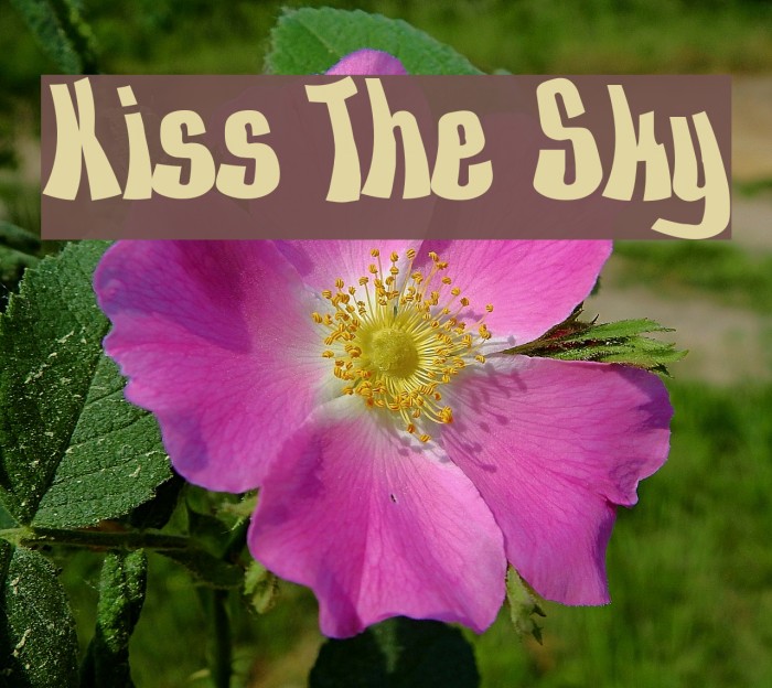 Kiss The Sky Example 3