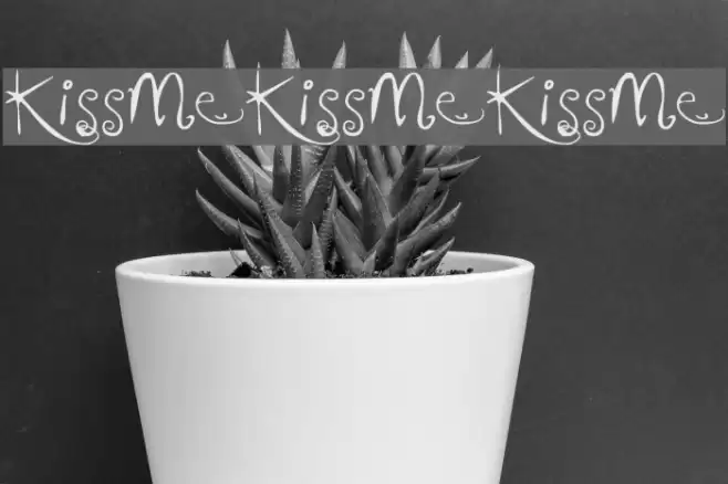 KissMeKissMeKissMe Font examples