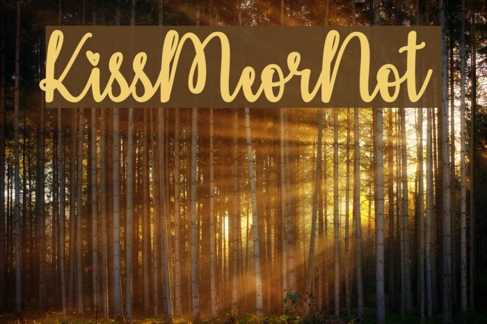 KissMeorNot Example 2