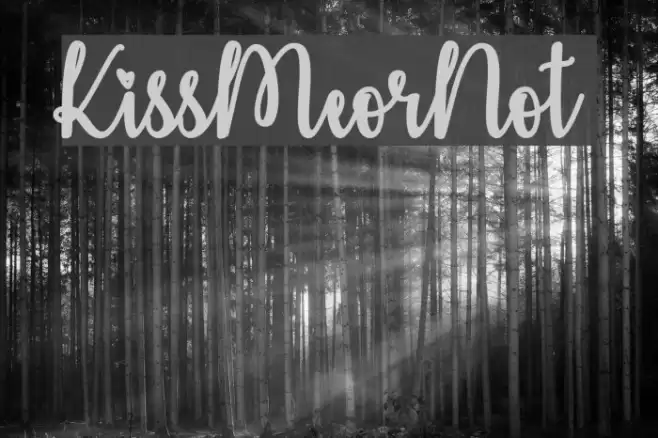 KissMeorNot Font examples