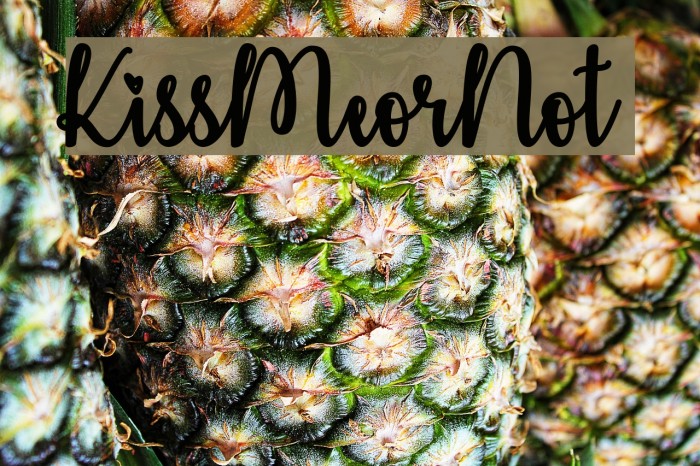 KissMeorNot Example 3