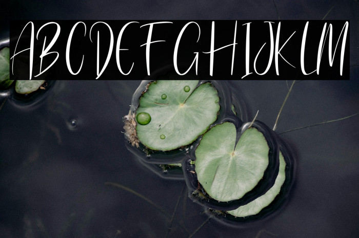 Kissing Sister Example 1