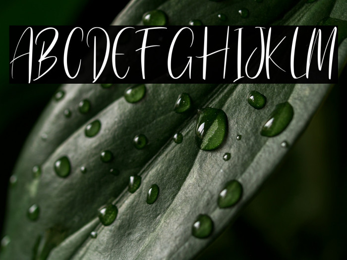 Kissing Sister Example 2