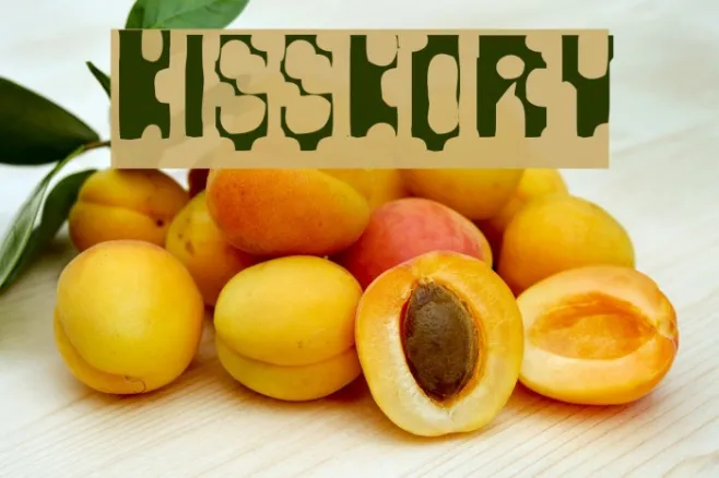 Kisskorv Example 1