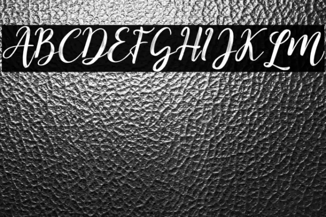 Kitahara Brush Script demo vers Font examples