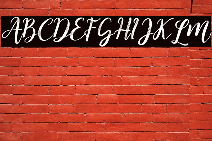 Kitahara Brush Script demo vers Example 2