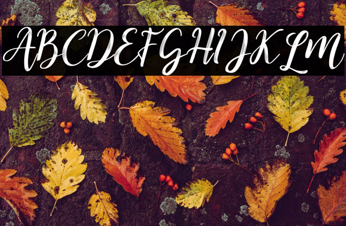 Kitahara Brush Script demo vers Example 3