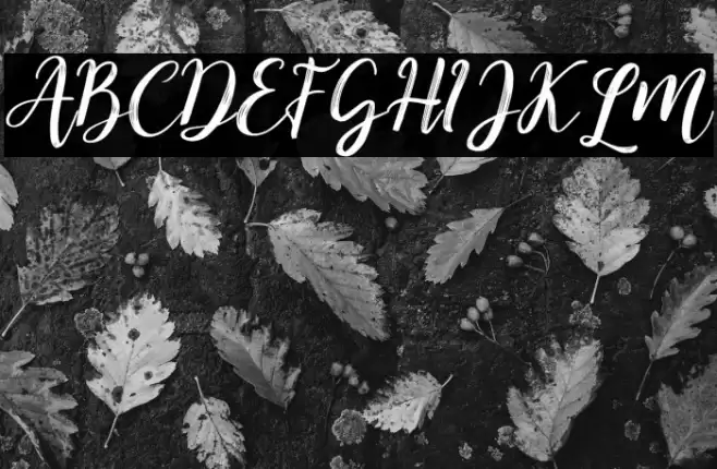 Kitahara Brush Script demo vers Font examples