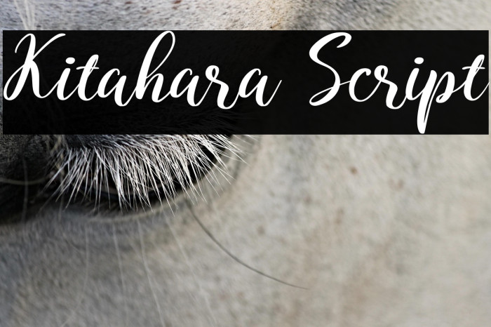 Kitahara Script Example 1