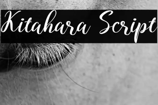 Kitahara Script Font examples