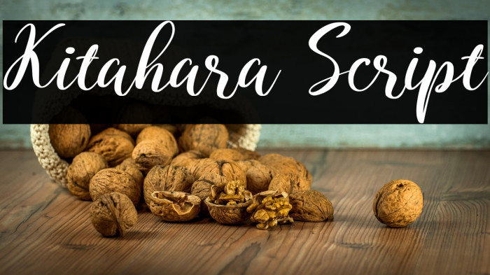 Kitahara Script Example 3