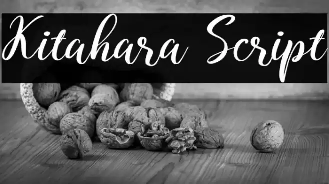 Kitahara Script Font examples