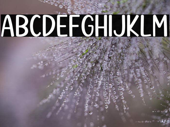 Kitchen Cookies Example 2