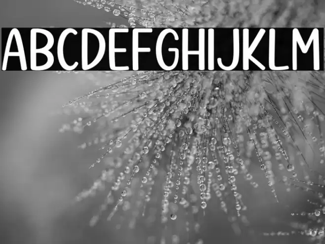 Kitchen Cookies 字体 examples