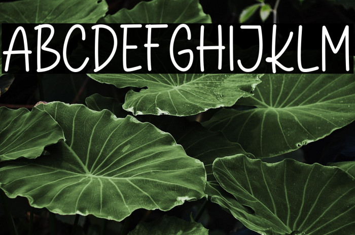 Kitchen Counter Example 1