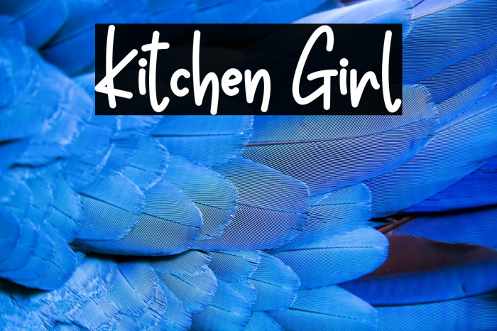 Kitchen Girl Example 3